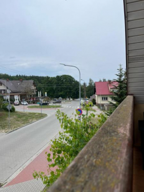 Apartament Swornegacie